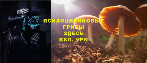 Альфа ПВП Бородино