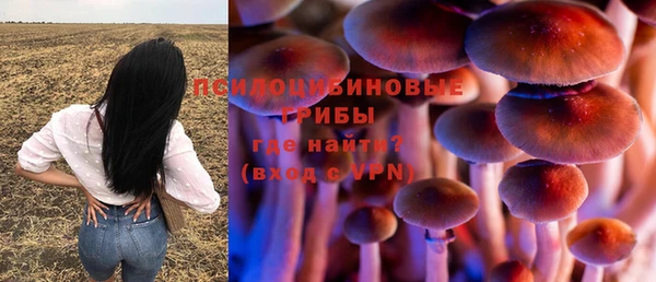 гашик Лабытнанги