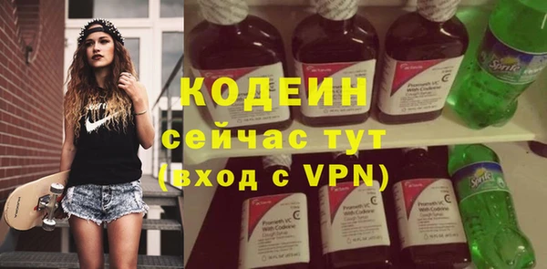 гашик Лабытнанги