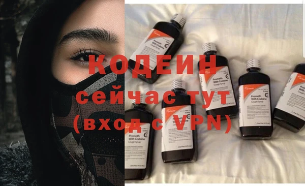 гашик Лабытнанги